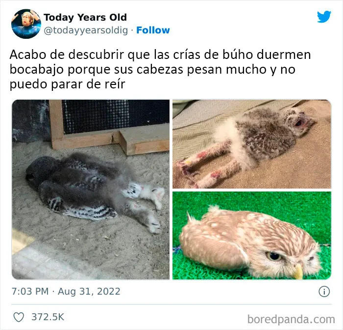 20 Datos muy interesantes compartidos por el proyecto de redes sociales "Today Years Old"