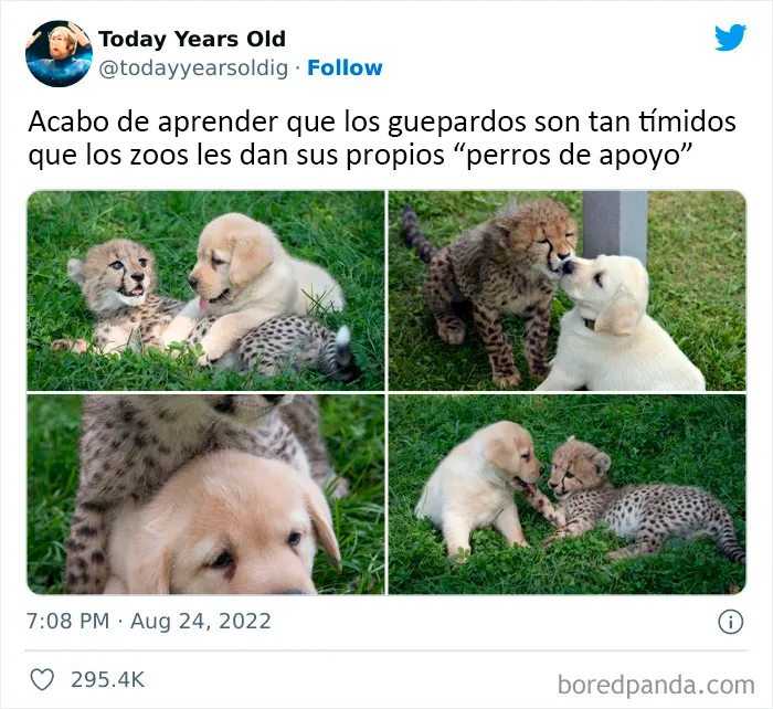 20 Datos muy interesantes compartidos por el proyecto de redes sociales "Today Years Old"