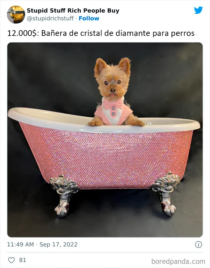 22 Artículos tan inútiles y sobrevalorados que sólo pueden describirse como "cosas estúpidas que compran los ricos"