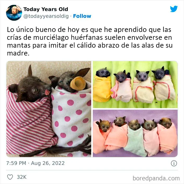 20 Datos muy interesantes compartidos por el proyecto de redes sociales "Today Years Old"