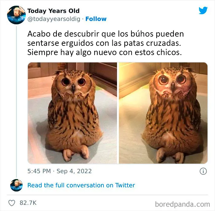 20 Datos muy interesantes compartidos por el proyecto de redes sociales "Today Years Old"