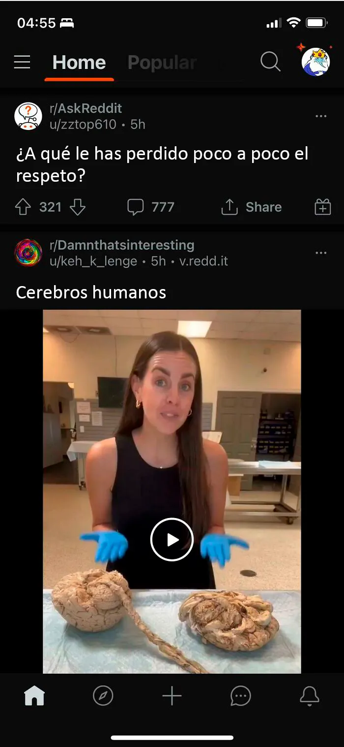 Creo que la mayoría de nosotros puede empatizar con esto