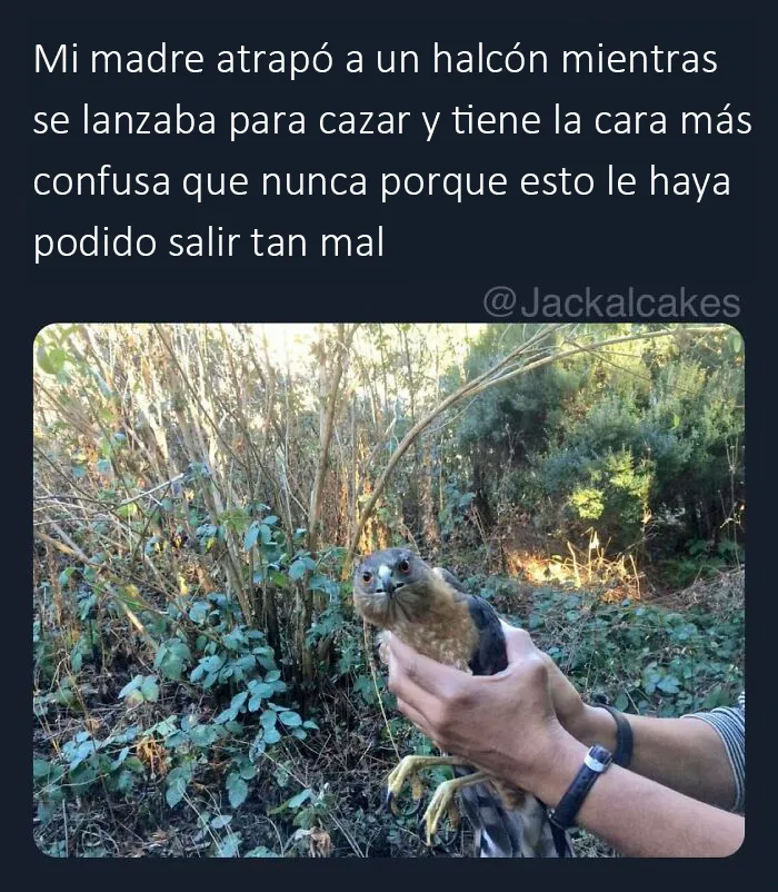 "Lo mejor y lo peor de Twitter": 20 de las más sorprendentes opiniones sobre casi todo (nuevas fotos)
