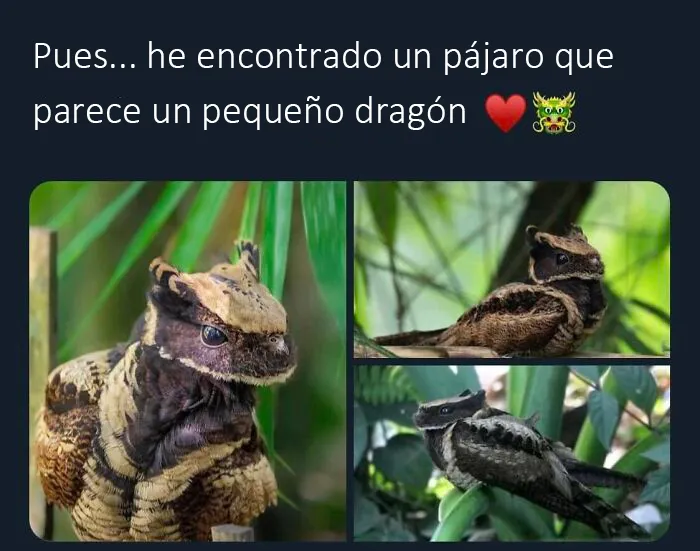 "Lo mejor y lo peor de Twitter": 20 de las más sorprendentes opiniones sobre casi todo (nuevas fotos)