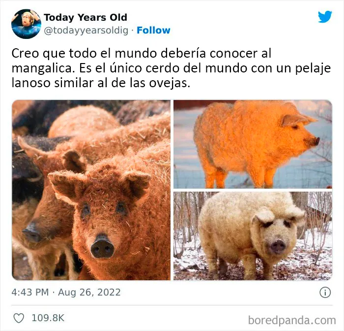 20 Datos muy interesantes compartidos por el proyecto de redes sociales "Today Years Old"