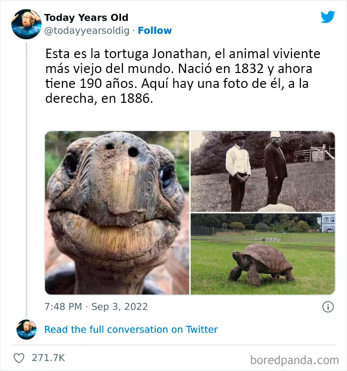 20 Datos muy interesantes compartidos por el proyecto de redes sociales "Today Years Old"