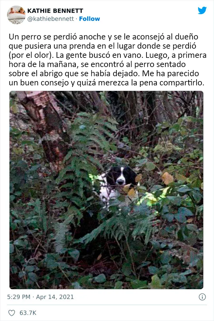 Si te sientes deprimido, estas 20 reconfortantes publicaciones quizá te animen