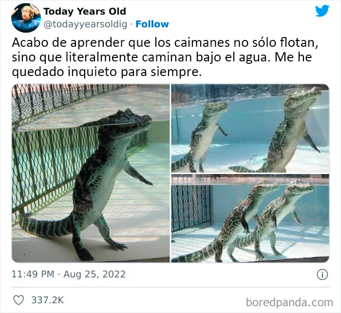 20 Datos muy interesantes compartidos por el proyecto de redes sociales "Today Years Old"