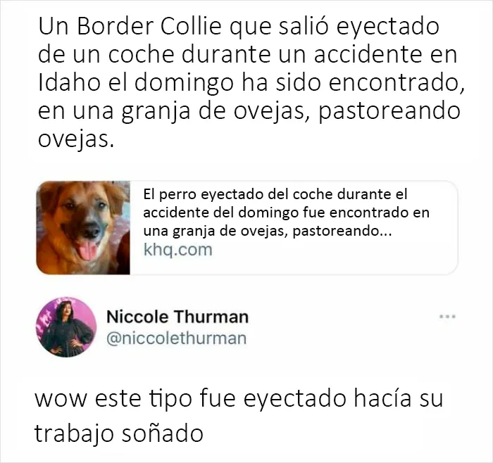 Si te sientes deprimido, estas 20 reconfortantes publicaciones quizá te animen
