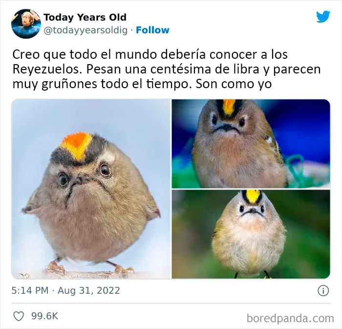 20 Datos muy interesantes compartidos por el proyecto de redes sociales "Today Years Old"
