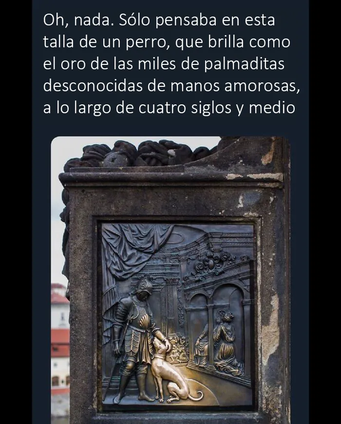 "Lo mejor y lo peor de Twitter": 20 de las más sorprendentes opiniones sobre casi todo (nuevas fotos)