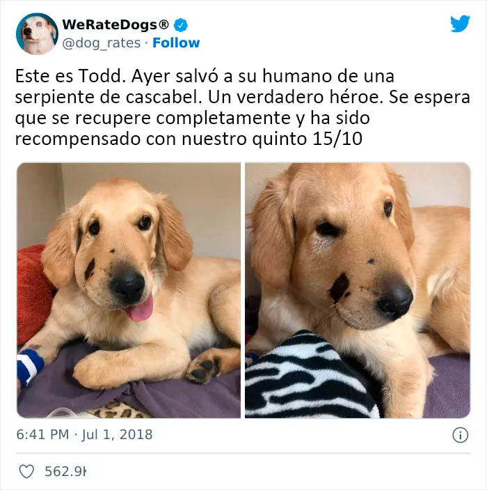 Si te sientes deprimido, estas 20 reconfortantes publicaciones quizá te animen