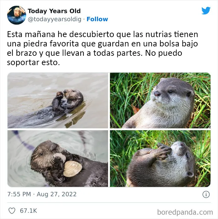 20 Datos muy interesantes compartidos por el proyecto de redes sociales "Today Years Old"
