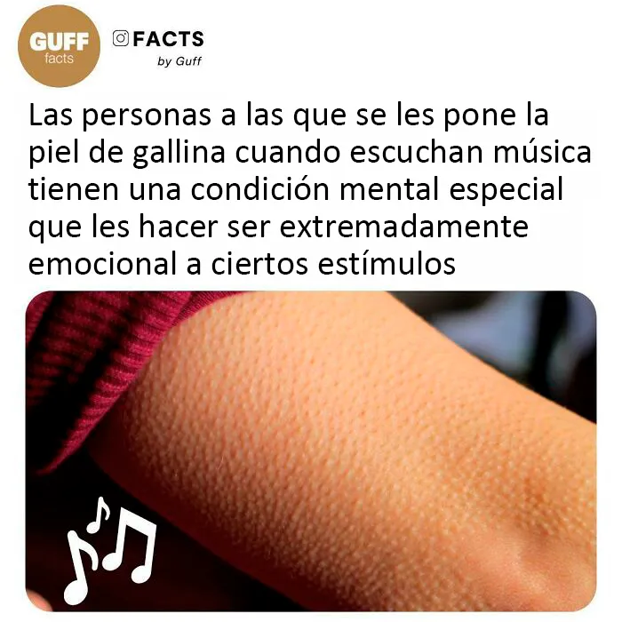 20 Datos muy interesantes sobre nuestro mundo, compartidos por esta cuenta de Instagram