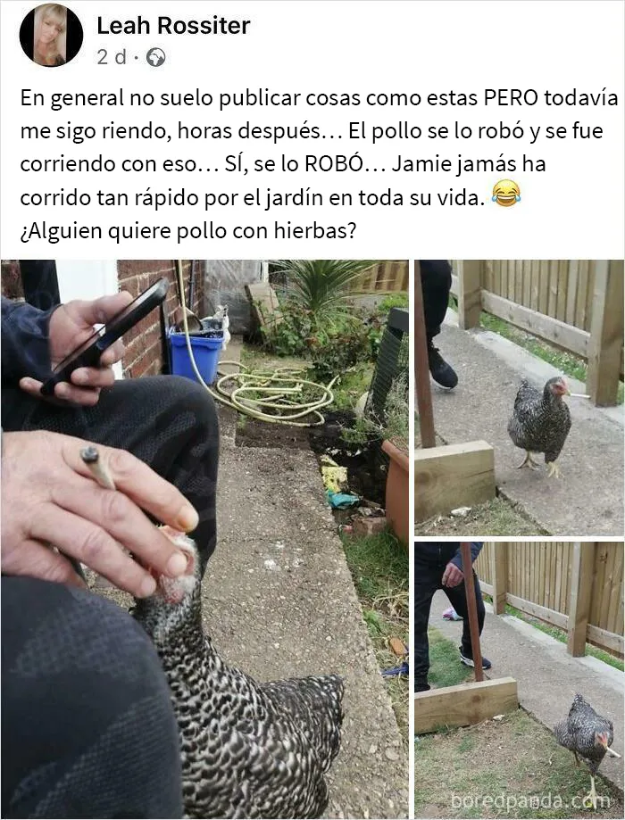 20 Imágenes de "Reino Unido sin contexto" para mostrar lo distinto que es a otros países