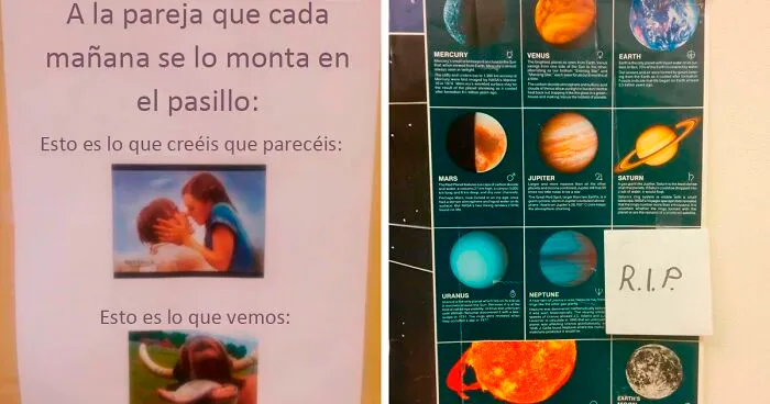 25 Profesores que colgaron los carteles más divertidos en sus aulas y acabaron siendo elogiados en Internet