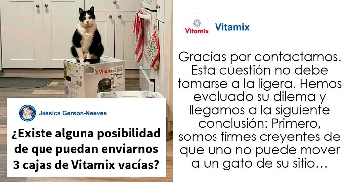 Tras una “guerra” de 2 semanas y media con 3 gatos, esta mujer contactó a Vitamix para pedirles cajas vacías que reemplazaran aquella que tomaron sus gatos