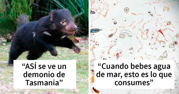 20 Científicos comparten "un dato científico" que desearían que todo el mundo supiera