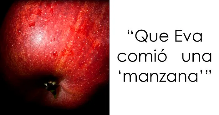 Una persona preguntó en las redes: “¿Qué cosas se cree que están en la Biblia cuando, en realidad, no es así?”, y estas 20 personas respondieron