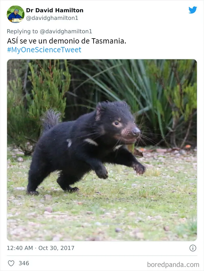 20 Científicos comparten "un dato científico" que desearían que todo el mundo supiera