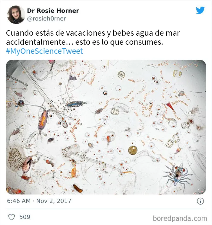 20 Científicos comparten "un dato científico" que desearían que todo el mundo supiera