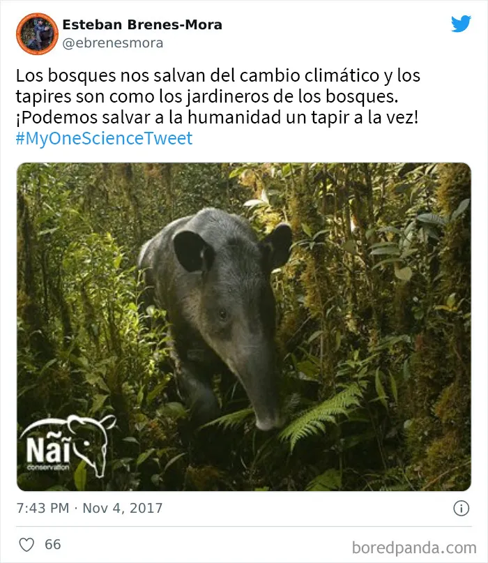 20 Científicos comparten "un dato científico" que desearían que todo el mundo supiera