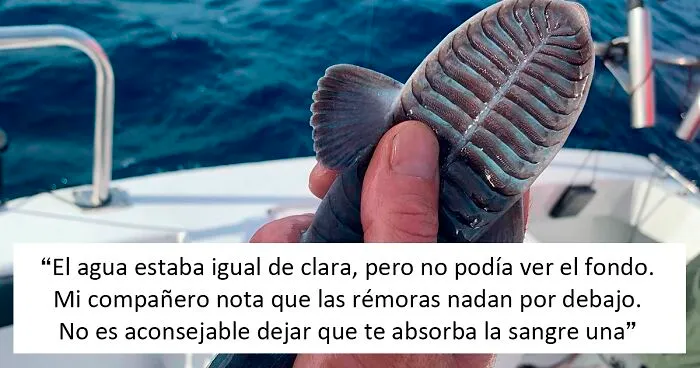 20 Cosas espeluznantes o extrañas que la gente ha observado en los océanos
