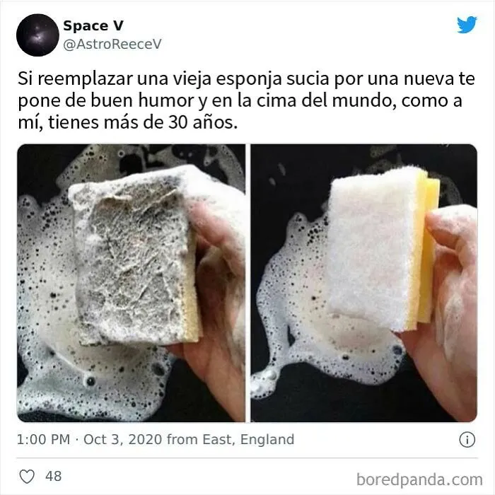 20 Tuits tristemente divertidos sobre la edad adulta que te harán reír y luego llorar