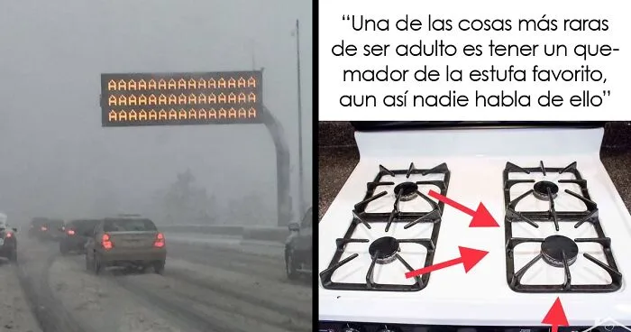20 Tuits tristemente divertidos sobre la edad adulta que te harán reír y luego llorar