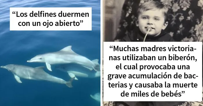 «Hoy aprendí»: 25 Nuevos datos que demuestran que nunca es tarde para aprender