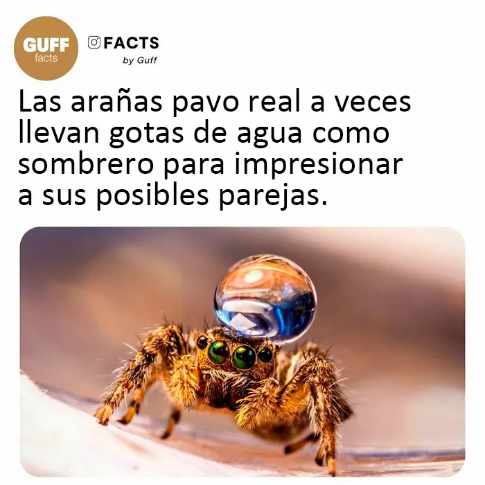 20 Datos muy interesantes sobre nuestro mundo, compartidos por esta cuenta de Instagram