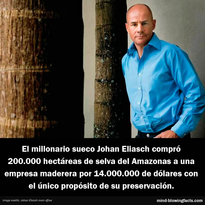 20 "Datos alucinantes" compartidos en esta página de Instagram