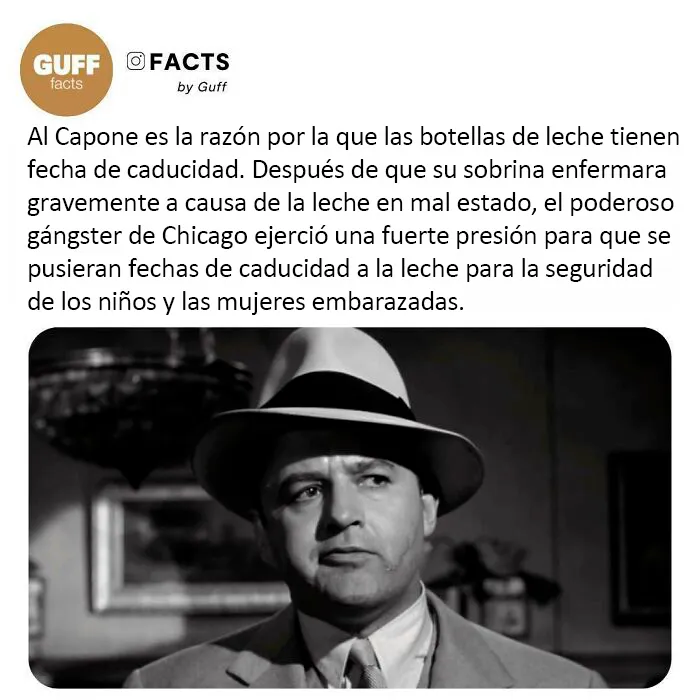20 Datos muy interesantes sobre nuestro mundo, compartidos por esta cuenta de Instagram