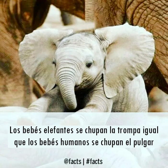 20 Datos muy interesantes sobre nuestro mundo, compartidos por esta cuenta de Instagram