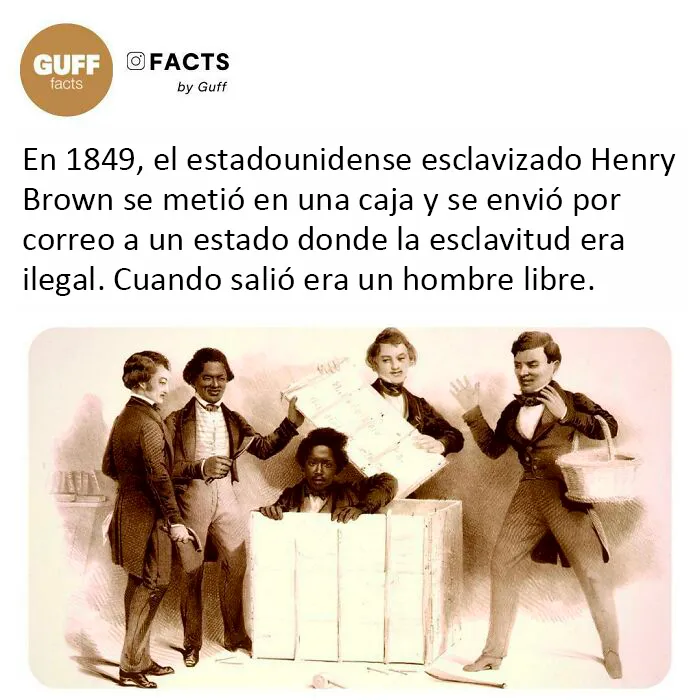 20 Datos muy interesantes sobre nuestro mundo, compartidos por esta cuenta de Instagram