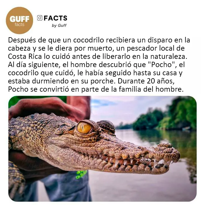 20 Datos muy interesantes sobre nuestro mundo, compartidos por esta cuenta de Instagram
