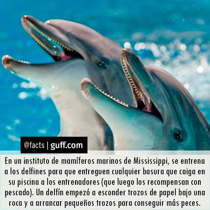 20 Datos muy interesantes sobre nuestro mundo, compartidos por esta cuenta de Instagram