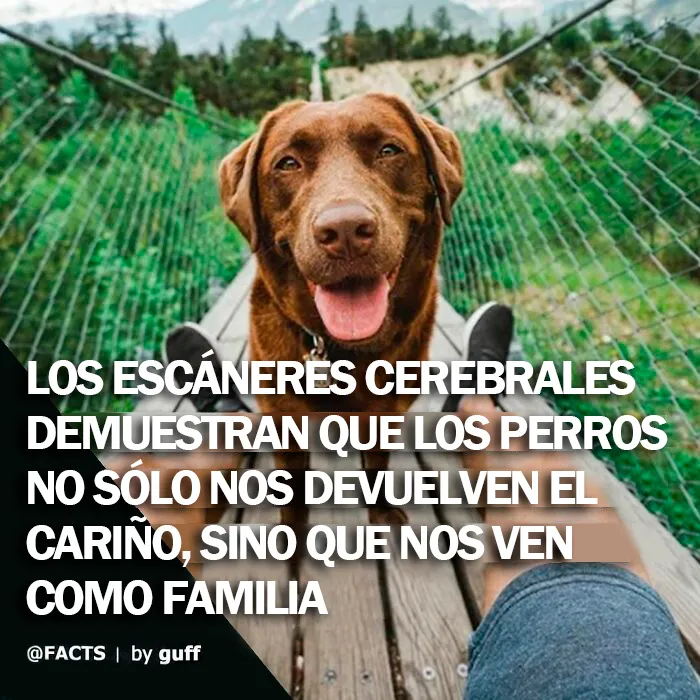 20 Datos muy interesantes sobre nuestro mundo, compartidos por esta cuenta de Instagram