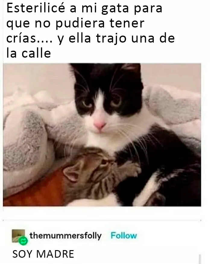 20 Publicaciones de Tumblr que valía la pena compartir con todo el mundo