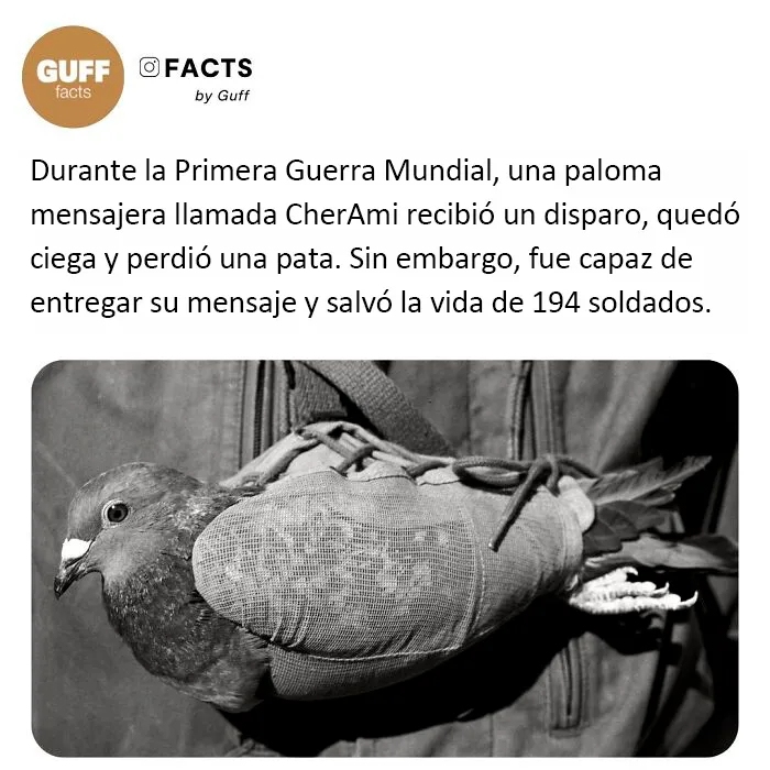 20 Datos muy interesantes sobre nuestro mundo, compartidos por esta cuenta de Instagram