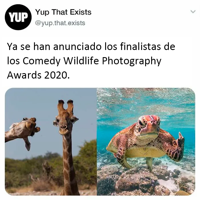 "Sí, eso existe": 20 Cosas que quizá no sabías que existían, compartidas en instagram