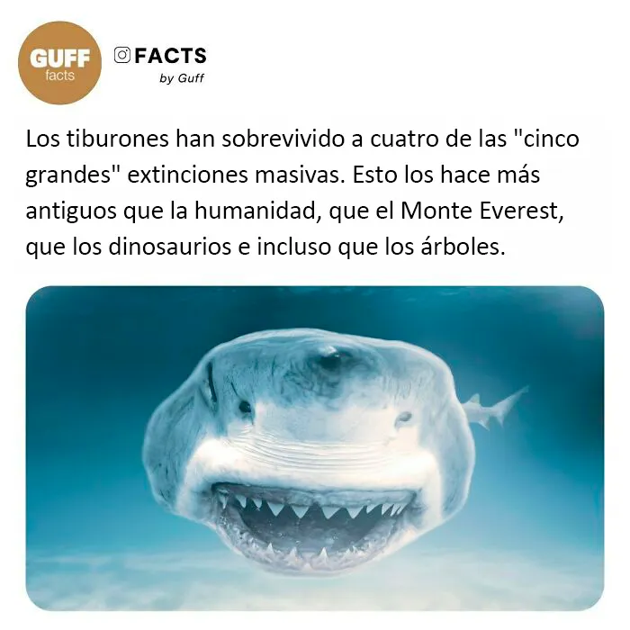 20 Datos muy interesantes sobre nuestro mundo, compartidos por esta cuenta de Instagram