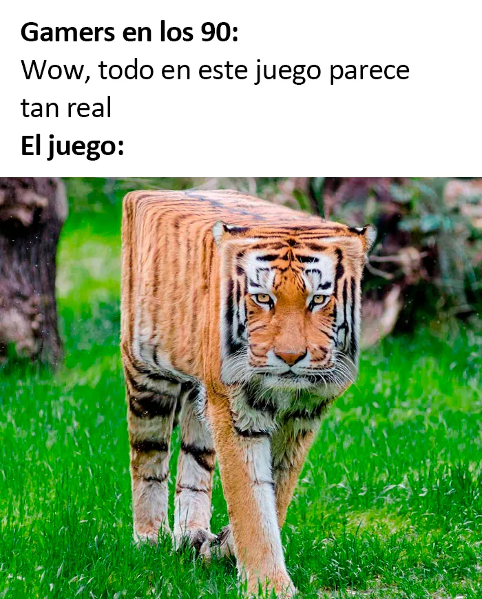 Bastante acertado