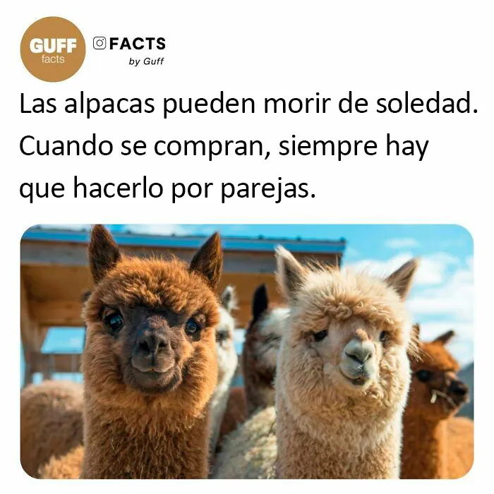 20 Datos muy interesantes sobre nuestro mundo, compartidos por esta cuenta de Instagram