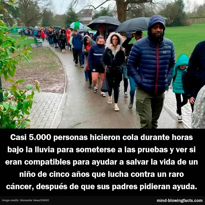 20 "Datos alucinantes" compartidos en esta página de Instagram