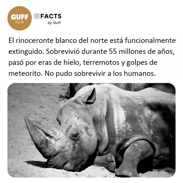 20 Datos muy interesantes sobre nuestro mundo, compartidos por esta cuenta de Instagram