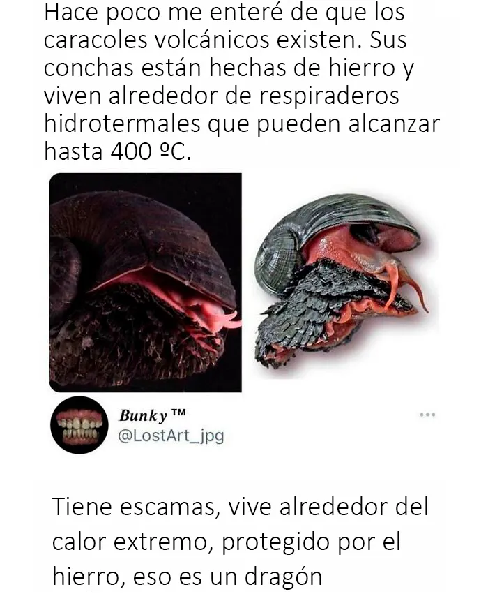 20 Publicaciones de Tumblr que valía la pena compartir con todo el mundo
