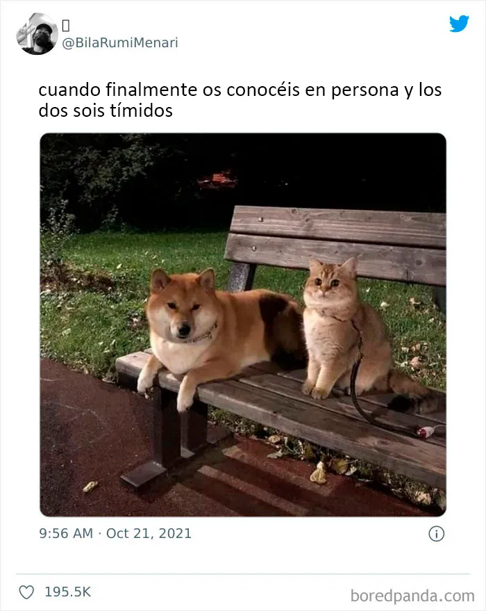 20 Divertidos "memes para discutir en terapia" compartidos en esta página de Facebook