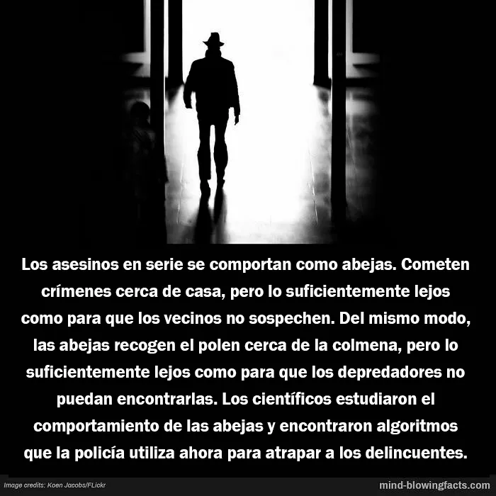 20 "Datos alucinantes" compartidos en esta página de Instagram