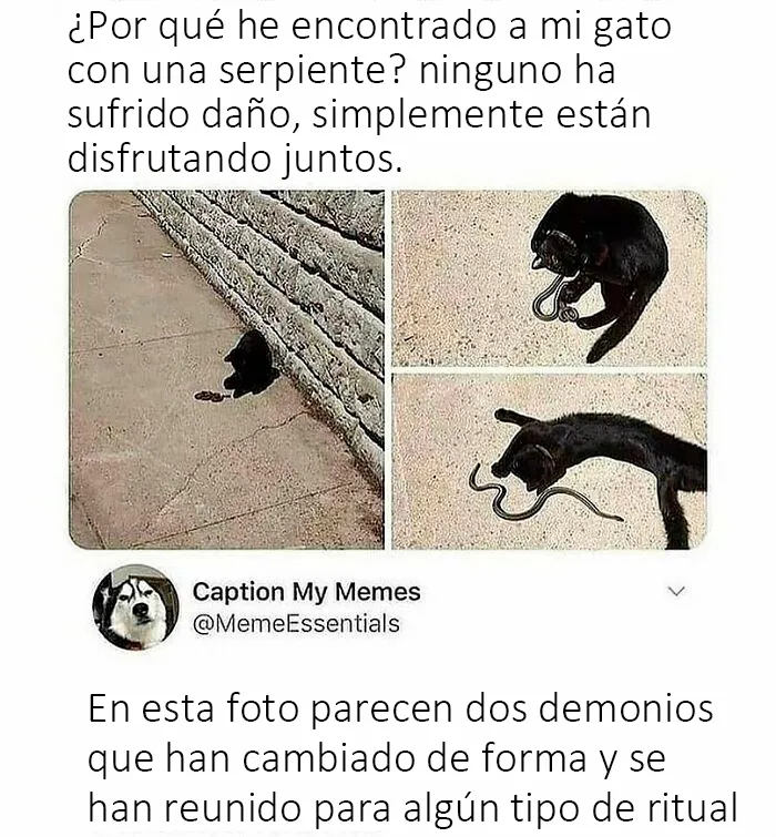 20 Publicaciones de Tumblr que valía la pena compartir con todo el mundo